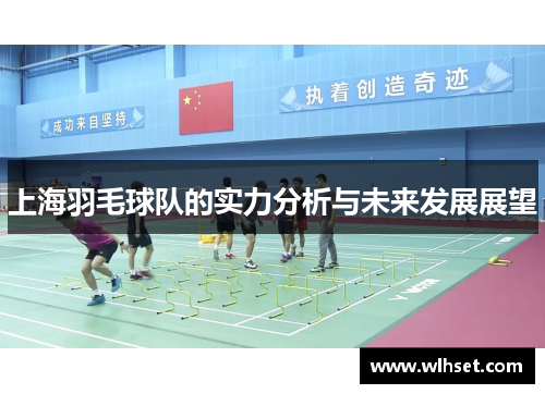 上海羽毛球队的实力分析与未来发展展望