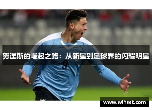 努涅斯的崛起之路：从新星到足球界的闪耀明星